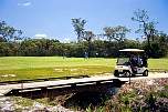 golf green bridge pelican waters.jpg